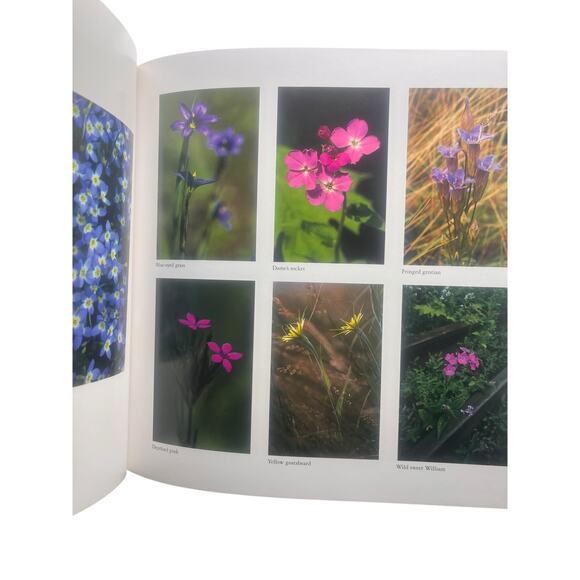 Wildflowers Across America SIGNED by Lady Bird Johnson and Carlton B Lees C1988 - Picture 6 of 10